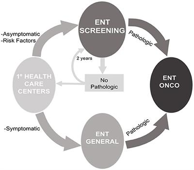 An evaluation of an innovative screening program based on risk criteria for early diagnosis of head and neck cancers